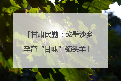 甘肃民勤：戈壁沙乡孕育“甘味”领头羊